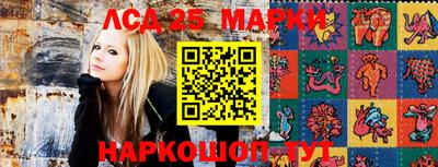 мяу мяу мука Сланцы
