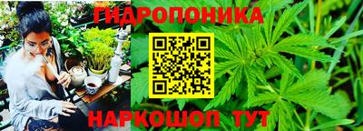 мяу мяу мука Сланцы