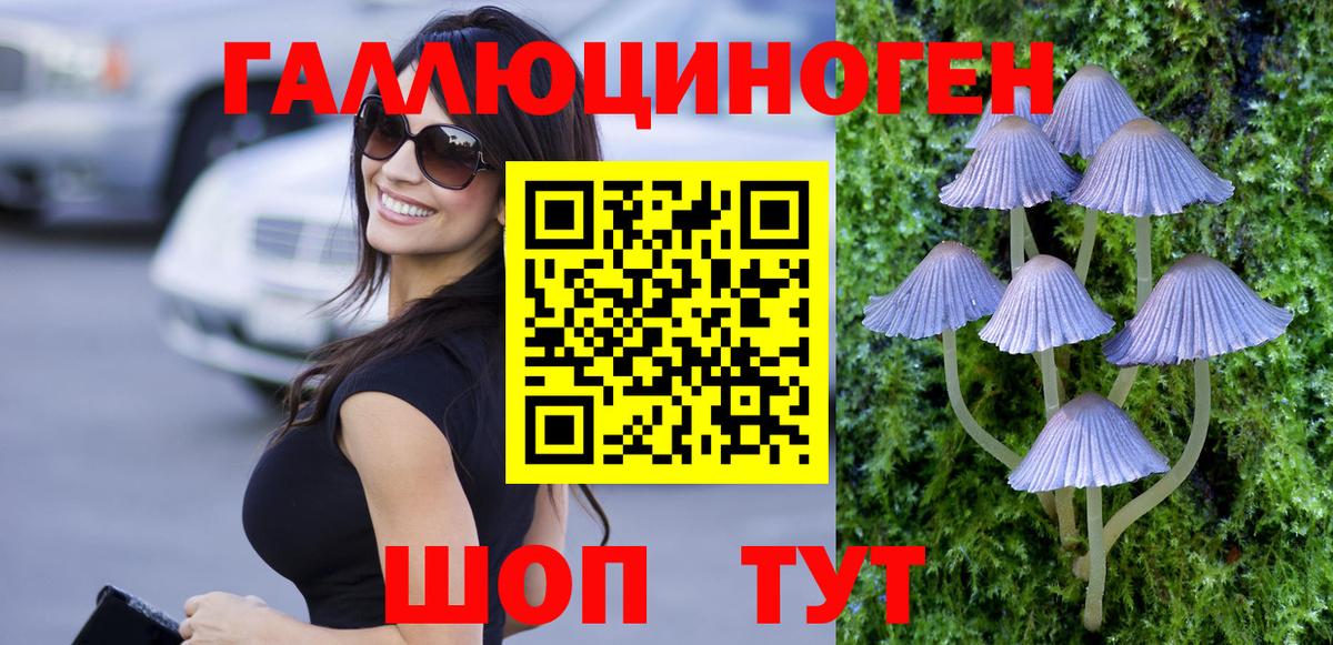 Галлюциногенные грибы мухоморы Нерюнгри